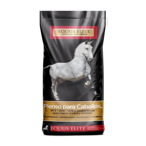 como engordar un caballo flaco